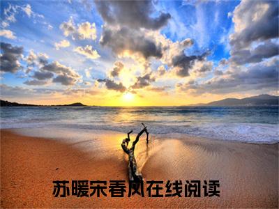 小说免费阅读-抖音新书热荐苏暖宋春风