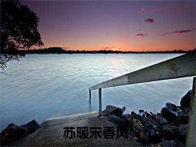 小说全文免费阅读无弹窗大结局_（苏暖宋春风）全文在线阅读