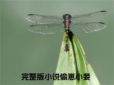 偷崽小妾小说全文免费阅读_偷崽小妾（洛语陈璟）最新章节列表在线阅读