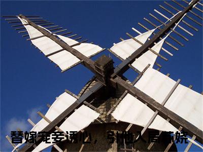 替嫁宠妾诱心，引他入局苏娆全集免费阅读无弹窗_替嫁宠妾诱心，引他入局苏娆完结小说榜单阅读（替嫁宠妾诱心，引他入局苏娆小说）