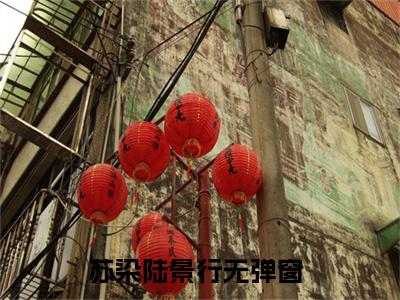苏染陆景行(苏染陆景行)全文免费阅读无弹窗大结局_(苏染陆景行免费阅读全文大结局)最新章节列表