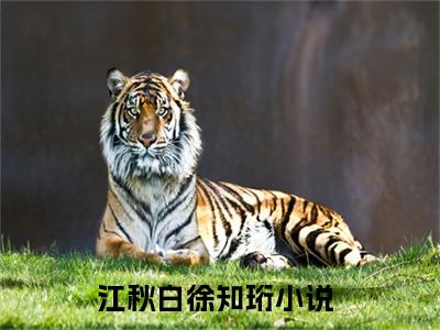 江秋白徐知珩(江秋白徐知珩)全文免费阅读无弹窗大结局_江秋白徐知珩免费试读阅读全文无弹窗_
