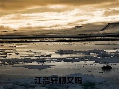 江浩轩柳文聪（江浩轩柳文聪）全文免费阅读无弹窗大结局_（江浩轩柳文聪）江浩轩柳文聪免费阅读最新章节列表笔趣阁（江浩轩柳文聪）