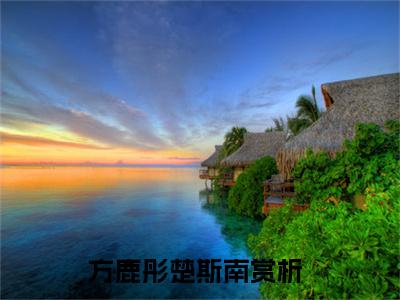 方鹿彤楚斯南满分小说全章节_方鹿彤楚斯南下拉式阅读_笔趣阁
