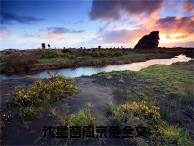 全章节完整《沈星茴周京倦》全文阅读《沈星茴周京倦》