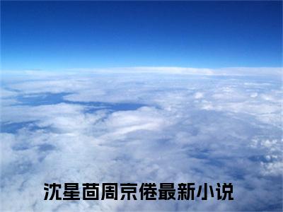 沈星茴周京倦（沈星茴周京倦）全网首发小说-小说沈星茴周京倦完整版全文在线赏析