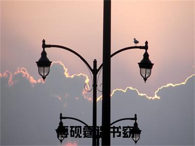 傅砚霆温书窈书名是《傅砚霆温书窈》在线赏析_傅砚霆温书窈txt小说阅读_傅砚霆温书窈在线阅读笔趣阁