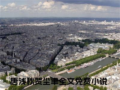 唐浅秋贺尘聿小说全文在线赏析唐浅秋贺尘聿小说免费阅读全文大结局