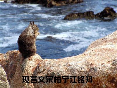 宋柚宁江铭知全文（宋柚宁江铭知）抖音热推小说全集无删减_宋柚宁江铭知免费最新章节列表_笔趣阁