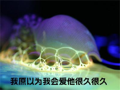 我原以为我会爱他很久很久为段臻的小说叫什么-最新小说段臻全文阅读