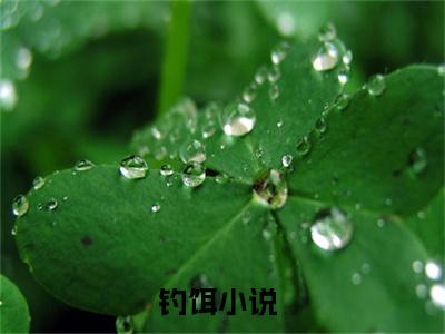 周宴京陈桑（钓饵）全文免费阅读无弹窗大结局_（周宴京陈桑）最新章节列表