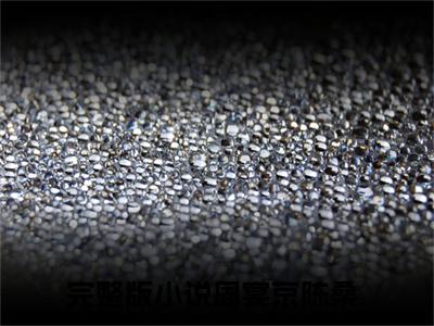 周宴京陈桑（钓饵）小说全文免费阅读无弹窗大结局_周宴京陈桑最新章节列表