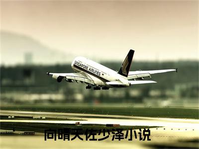 向晴天佐少泽(向晴天佐少泽)全文免费阅读无弹窗大结局_向晴天佐少泽全文阅读_笔趣阁（向晴天佐少泽）