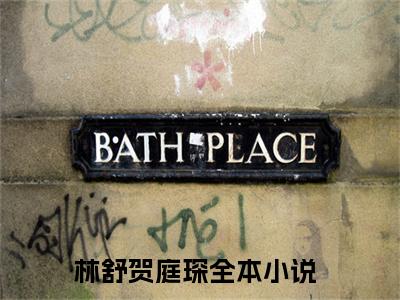 林舒贺庭琛（林舒贺庭琛）全文免费阅读无弹窗大结局_林舒贺庭琛小说全文免费阅读最新章节列表_笔趣阁