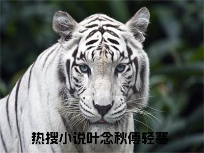 叶念秋傅轻寒（叶念秋傅轻寒）小说全文免费阅读_（叶念秋傅轻寒）小说全文无删减版在线阅读