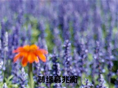 林缘慕兆衡小说免费(林缘慕兆衡)全文免费阅读无弹窗-林缘慕兆衡小说全文免费阅读最新章节列表_笔趣阁
