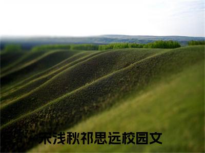 宋浅秋祁思远是什么小说-宋浅秋祁思远免费小说在线阅读
