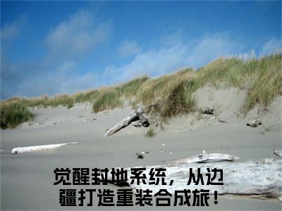 觉醒封地系统，从边疆打造重装合成旅！任天行热门小说 全文免费阅读无弹窗大结局-觉醒封地系统，从边疆打造重装合成旅！任天行全文无弹窗免费阅读大结局