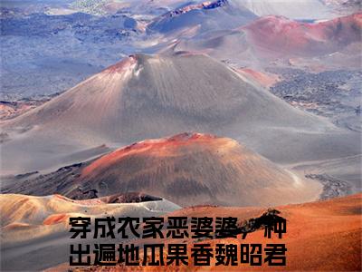 穿成农家恶婆婆，种出遍地瓜果香魏昭君小说（穿成农家恶婆婆，种出遍地瓜果香魏昭君）全文免费阅读_穿成农家恶婆婆，种出遍地瓜果香魏昭君小说最新章节列表笔趣阁小说
