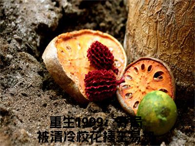 重生1999：开局被清冷校花揍王易小说（重生1999：开局被清冷校花揍王易）全文免费阅读无弹窗大结局_重生1999：开局被清冷校花揍王易小说免费阅读无弹窗最新章节列表_笔趣阁