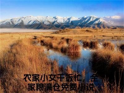 农家小女干饭忙，全家粮满仓（宋书王素花）全文免费阅读无弹窗大结局_宋书王素花最新章节列表_笔趣阁