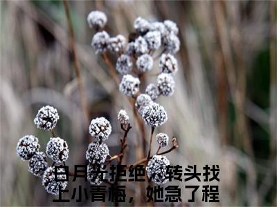 白月光拒绝，转头找上小青梅，她急了程叶（白月光拒绝，转头找上小青梅，她急了程叶）全文免费阅读最新章节_白月光拒绝，转头找上小青梅，她急了程叶免费阅读无弹窗最新章节列表_笔趣阁