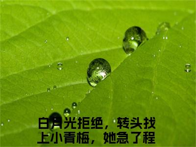爆款小说《白月光拒绝，转头找上小青梅，她急了程叶》主角白月光拒绝，转头找上小青梅，她急了程叶全文在线完本阅读