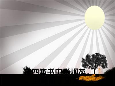 在四本书中当炮灰，我竟成了团宠（许聆风叶循）小说在线阅读-最新小说许聆风叶循（在四本书中当炮灰，我竟成了团宠）全文阅读