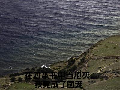 在四本书中当炮灰，我竟成了团宠（许聆风叶循）最火婚恋小说-（许聆风叶循）全文免费阅读笔趣阁