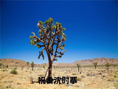 她另攀高枝最新章节（祝肴沈时搴）全文免费阅读无弹窗大结局_祝肴沈时搴她另攀高枝全文免费阅读