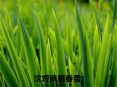 沈观南黎春雪（沈观南黎春雪）最新章节在线阅读-全文小说（沈观南黎春雪）免费阅读