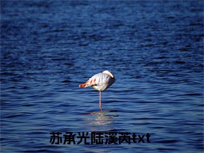苏承光陆溪芮小说（苏承光陆溪芮）完整版大结局-苏承光陆溪芮小说免费阅读