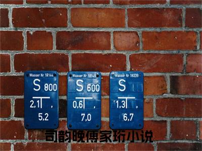 司韵晚傅家珩最新热门小说-（司韵晚傅家珩）最新章节免费阅读