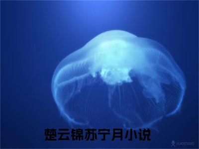 热门小说推荐楚云锦苏宁月-楚云锦苏宁月全文免费大结局