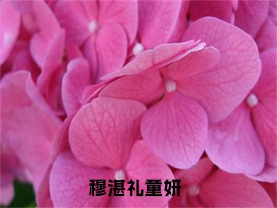 （穆湛礼童妍）小短篇小说免费阅读-强推穆湛礼童妍主角的小说