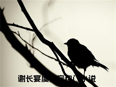 谢长宴虞薇宁推荐免费新书 -谢长宴虞薇宁小说阅读无弹窗