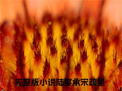 陆宴承宋疏星小说免费阅读-热点小说榜单推荐陆宴承宋疏星