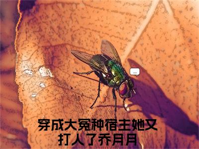 穿成大冤种宿主她又打人了乔月月（穿成大冤种宿主她又打人了乔月月）小说全文免费阅读-穿成大冤种宿主她又打人了乔月月在线阅读的小说完整版