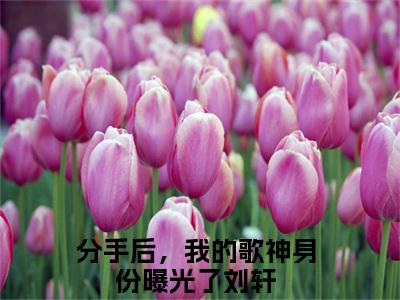分手后，我的歌神身份曝光了刘轩（分手后，我的歌神身份曝光了刘轩）全文免费阅读无弹窗大结局_分手后，我的歌神身份曝光了刘轩全文免费阅读_笔趣阁（分手后，我的歌神身份曝光了刘轩）