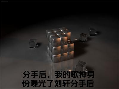 分手后，我的歌神身份曝光了刘轩分手后，我的歌神身份曝光了刘轩小说小说全集免费阅读 分手后，我的歌神身份曝光了刘轩分手后，我的歌神身份曝光了刘轩章节目录