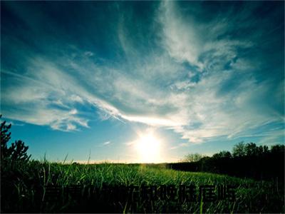 沈知晚陆庭屿(沈知晚陆庭屿)全文免费阅读无弹窗大结局_(沈知晚陆庭屿免费阅读全文大结局)最新章节列表_笔趣阁（沈知晚陆庭屿）