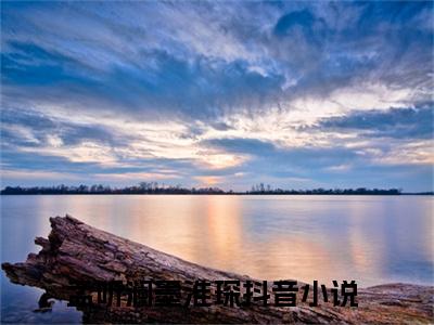 孟听澜墨淮琛(孟听澜墨淮琛)全文免费阅读无弹窗大结局_孟听澜墨淮琛(孟听澜墨淮琛小说全文无弹窗)完整版最新阅读（孟听澜墨淮琛）