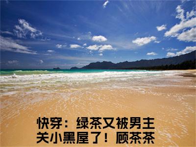 快穿：绿茶又被男主关小黑屋了！顾茶茶(快穿：绿茶又被男主关小黑屋了！顾茶茶)全文免费阅读_快穿：绿茶又被男主关小黑屋了！顾茶茶（快穿：绿茶又被男主关小黑屋了！顾茶茶在线小说免费阅读）全文阅读