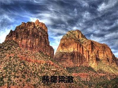 林椰梁澈（林椰梁澈）在哪免费看-小说(林椰梁澈)全文完整版免费阅读