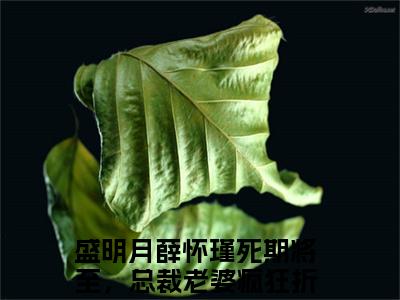 盛明月薛怀瑾死期将至，总裁老婆疯狂折磨我正版小说最新章节在线阅读-最火热点小说盛明月薛怀瑾最新更新