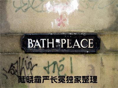 陆晓霜严长冕小说（严长冕陆晓霜）全文免费阅读_（严长冕陆晓霜）陆晓霜严长冕小说最新章节列表
