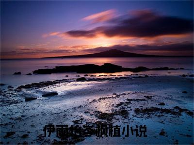 伊雨怡岑枫植小说（他发誓要一生一世绑住她）全文免费阅读_（伊雨怡岑枫植小说）他发誓要一生一世绑住她小说精彩在线赏析