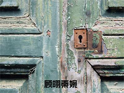 顾翊秦婉小说（顾翊秦婉）全文免费阅读无弹窗大结局_顾翊秦婉全文免费完结版阅读（顾翊秦婉）