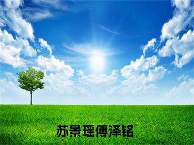 苏景瑶傅泽铭是什么小说-（苏景瑶傅泽铭全文阅读）最新章节列表（番外）+（全文）