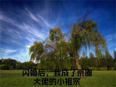 闪婚后，我成了京圈大佬的小祖宗小说全文免费阅读大结局-傅寄礼姜衿最新章节列表免费阅读